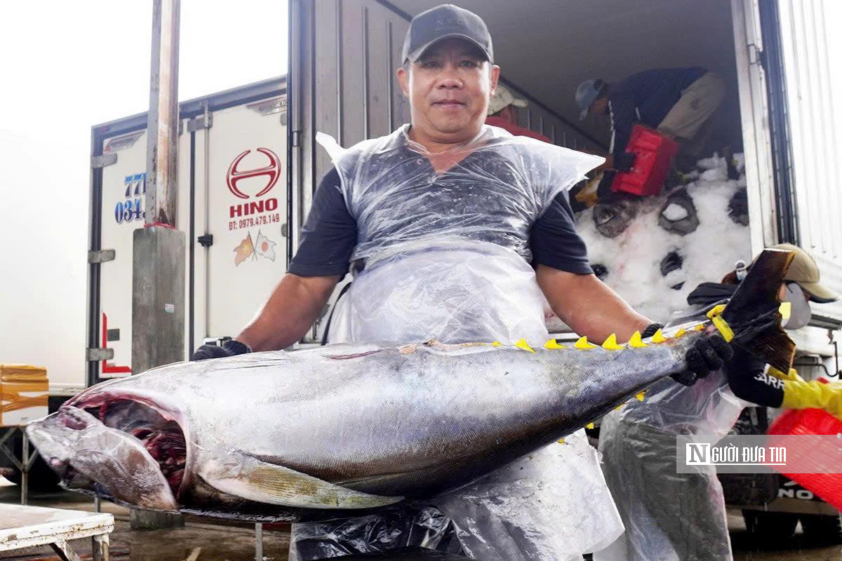 Gỡ