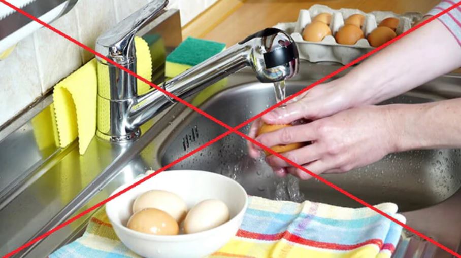 Bảo quản trứng kiểu này trong tủ lạnh làm tăng nguy cơ nhiễm khuẩn - Ảnh 2.