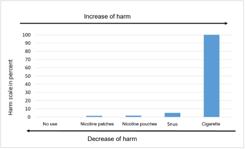 Túi ngậm Nicotine dưới góc nhìn khoa học và chính sách - Ảnh 1.