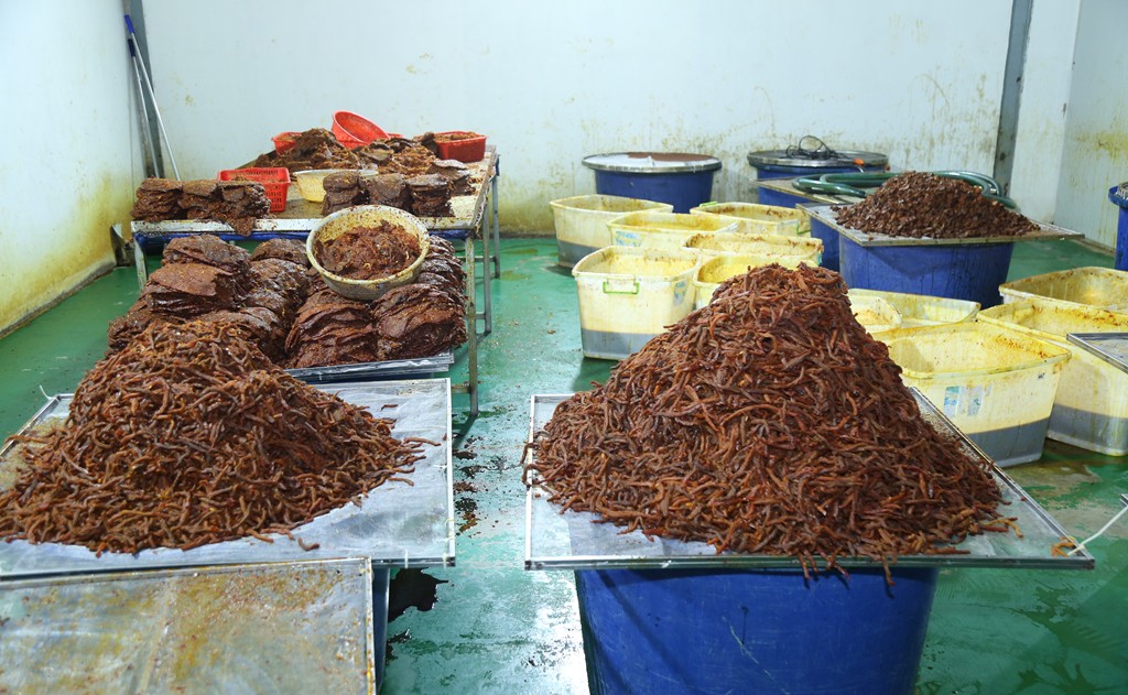 Phá đường dây sản xuất, buôn bán thịt bò khô giả quy mô lớn - Ảnh 2.