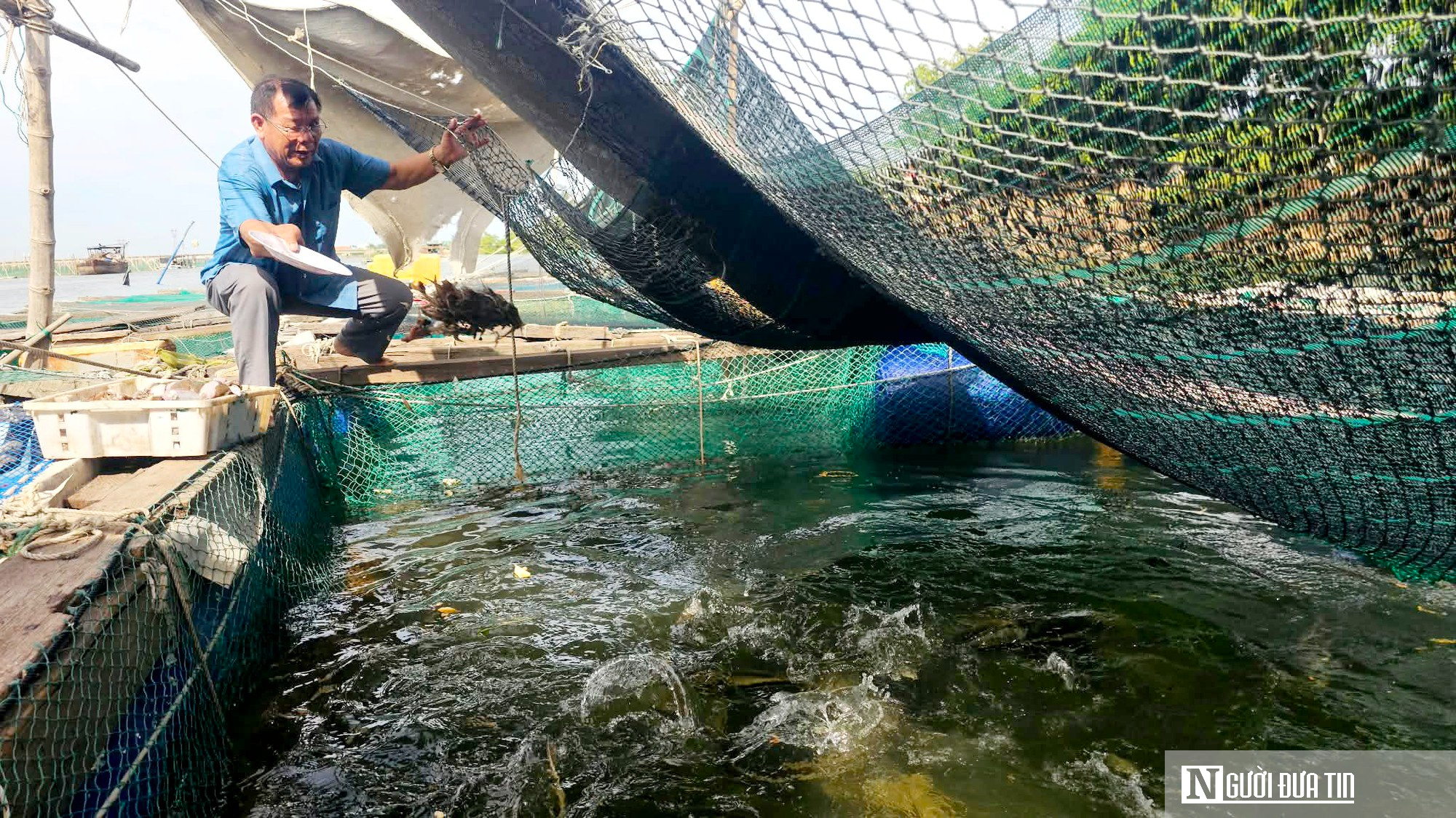 Nỗi lo đằng sau những lồng cá “thâm canh” bạc tỷ trên sông Gianh- Ảnh 3.