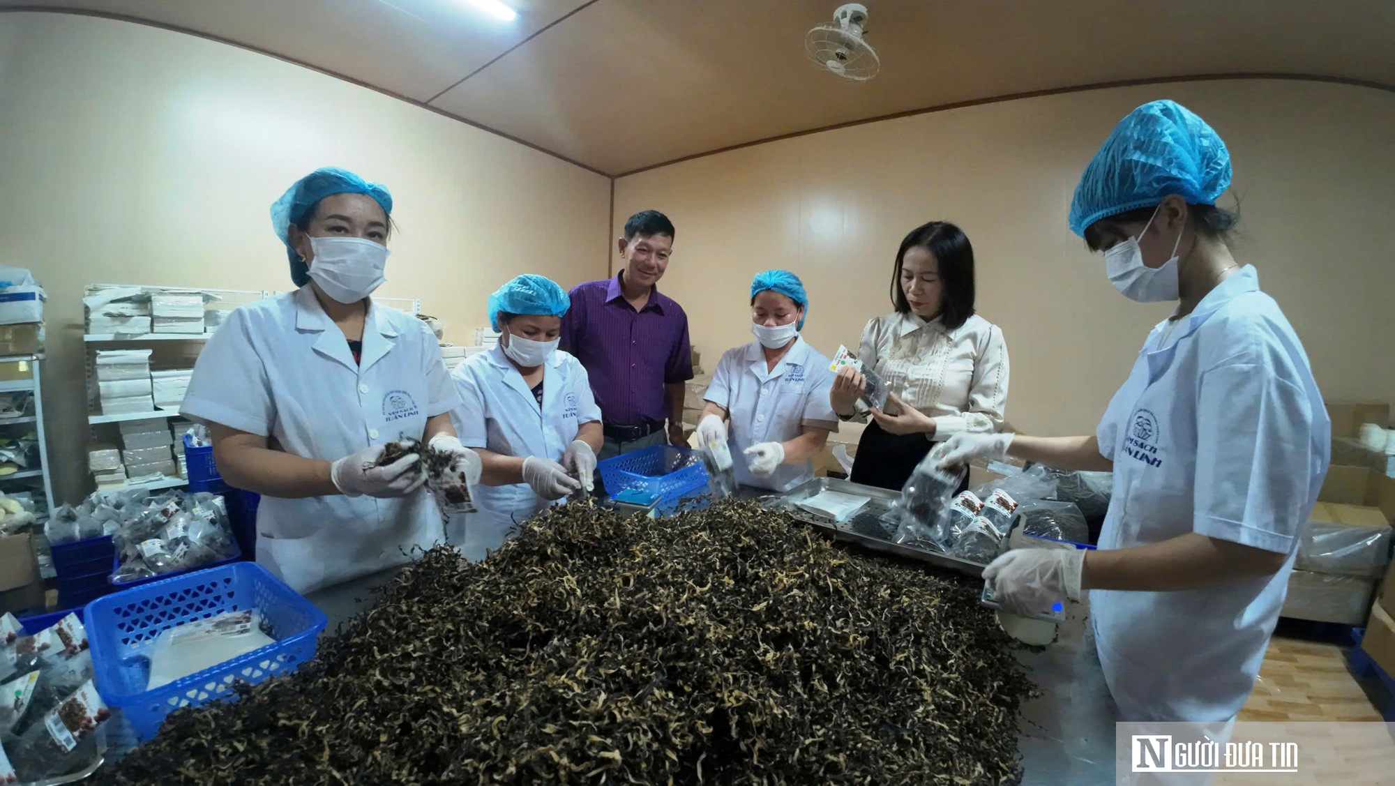Hành trình từ lán tranh tạm đến chuỗi sản xuất nấm sạch với doanh thu hơn 18 tỷ mỗi năm- Ảnh 1.