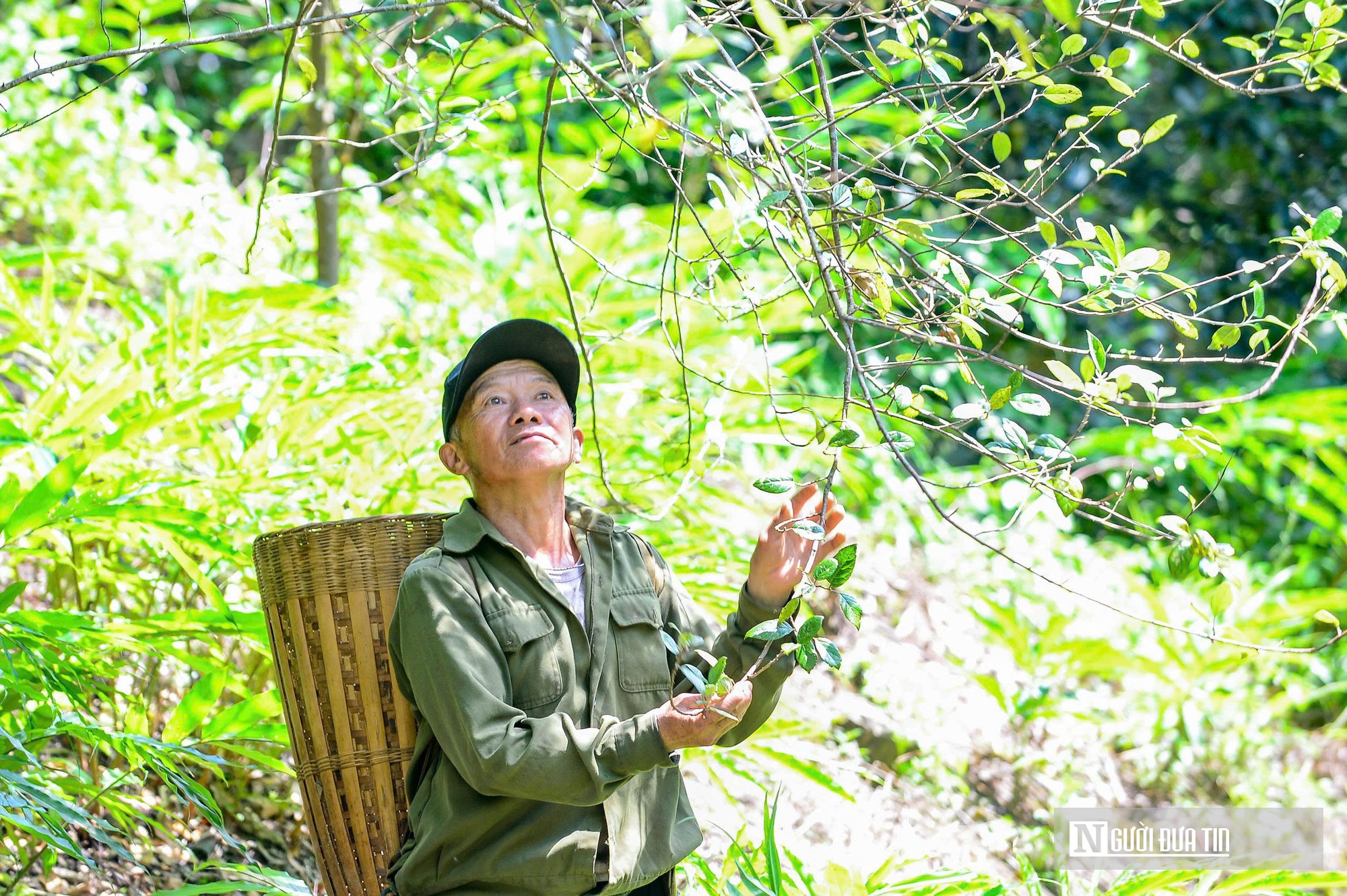 Trồng táo mèo trên núi đá, đến trao giống vật nuôi, tạo sinh kế thoát nghèo cho người dân vùng cao- Ảnh 1.