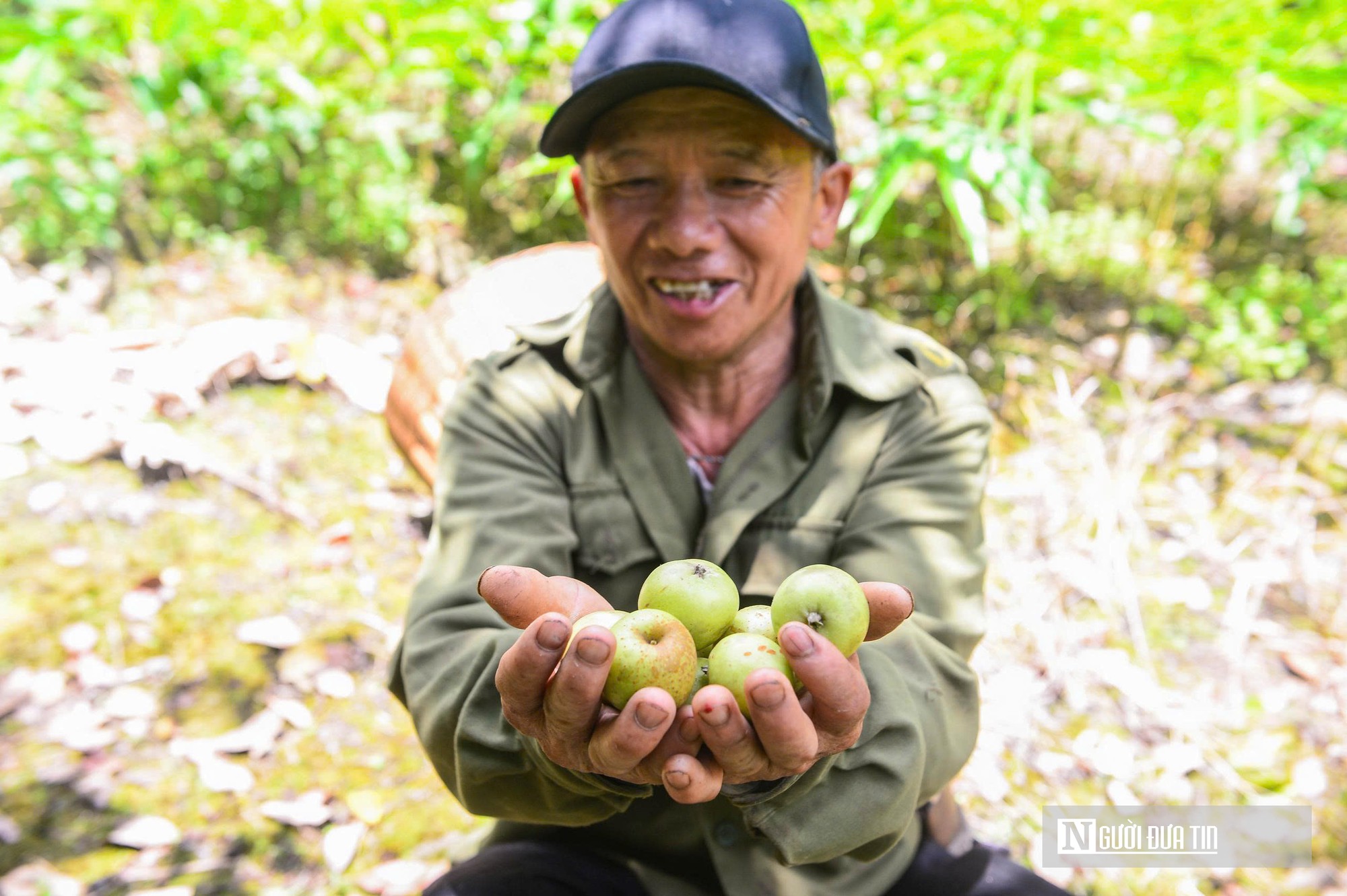 Trồng táo mèo trên núi đá, đến trao giống vật nuôi, tạo sinh kế thoát nghèo cho người dân vùng cao- Ảnh 2.