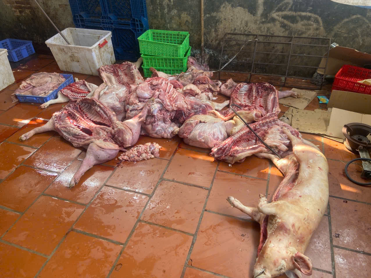 Hưng Yên: Chuyển cơ quan điều tra vụ gần 1 tấn thịt lợn nghi nhiễm dịch tả lợn châu Phi - Ảnh 2.