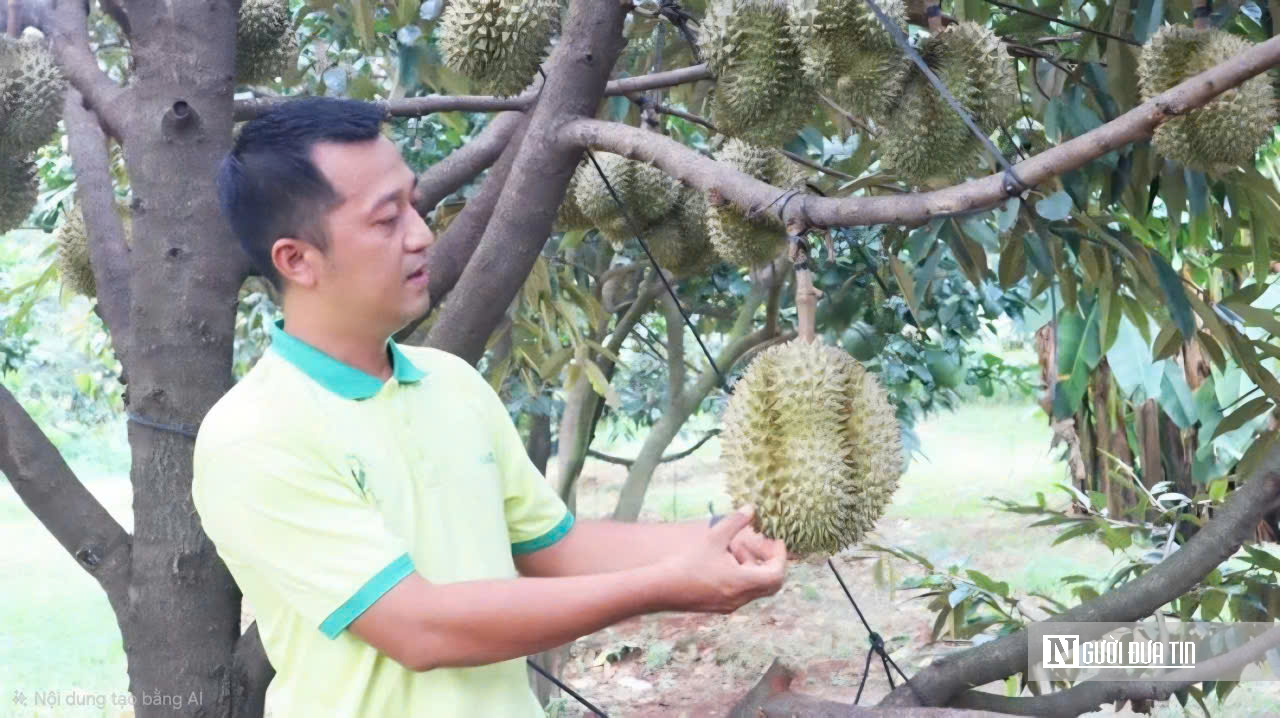 Thương lái sầu riêng chờ "cởi trói" để giữ thị trường xuất khẩu- Ảnh 3.