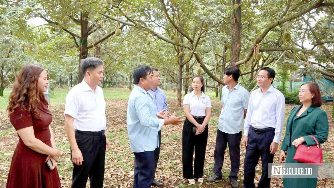 Thương lái sầu riêng chờ "cởi trói" để giữ thị trường xuất khẩu- Ảnh 5.