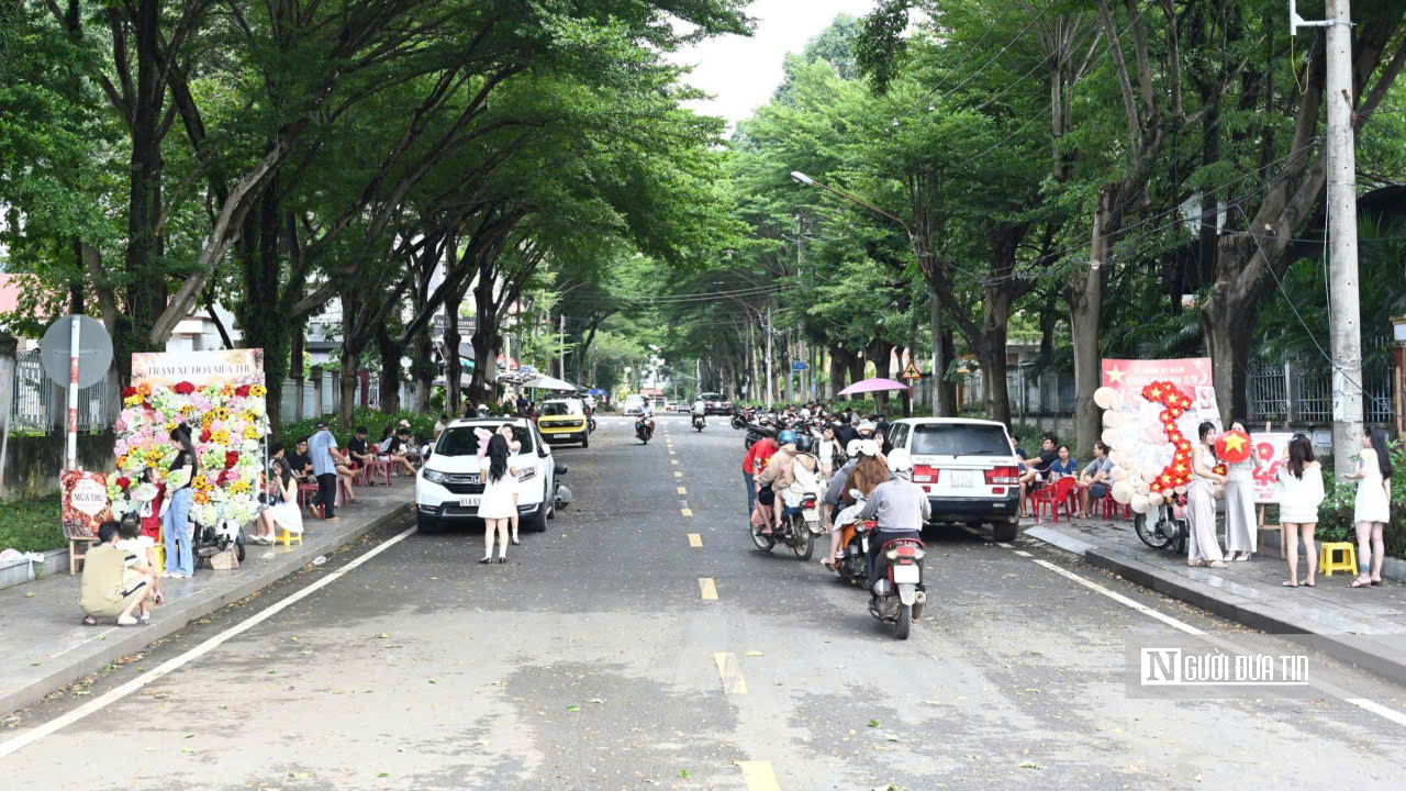 Phố phường Tp.Đồng Nai rực rỡ cờ hoa mừng Quốc khánh 2/9- Ảnh 15.
