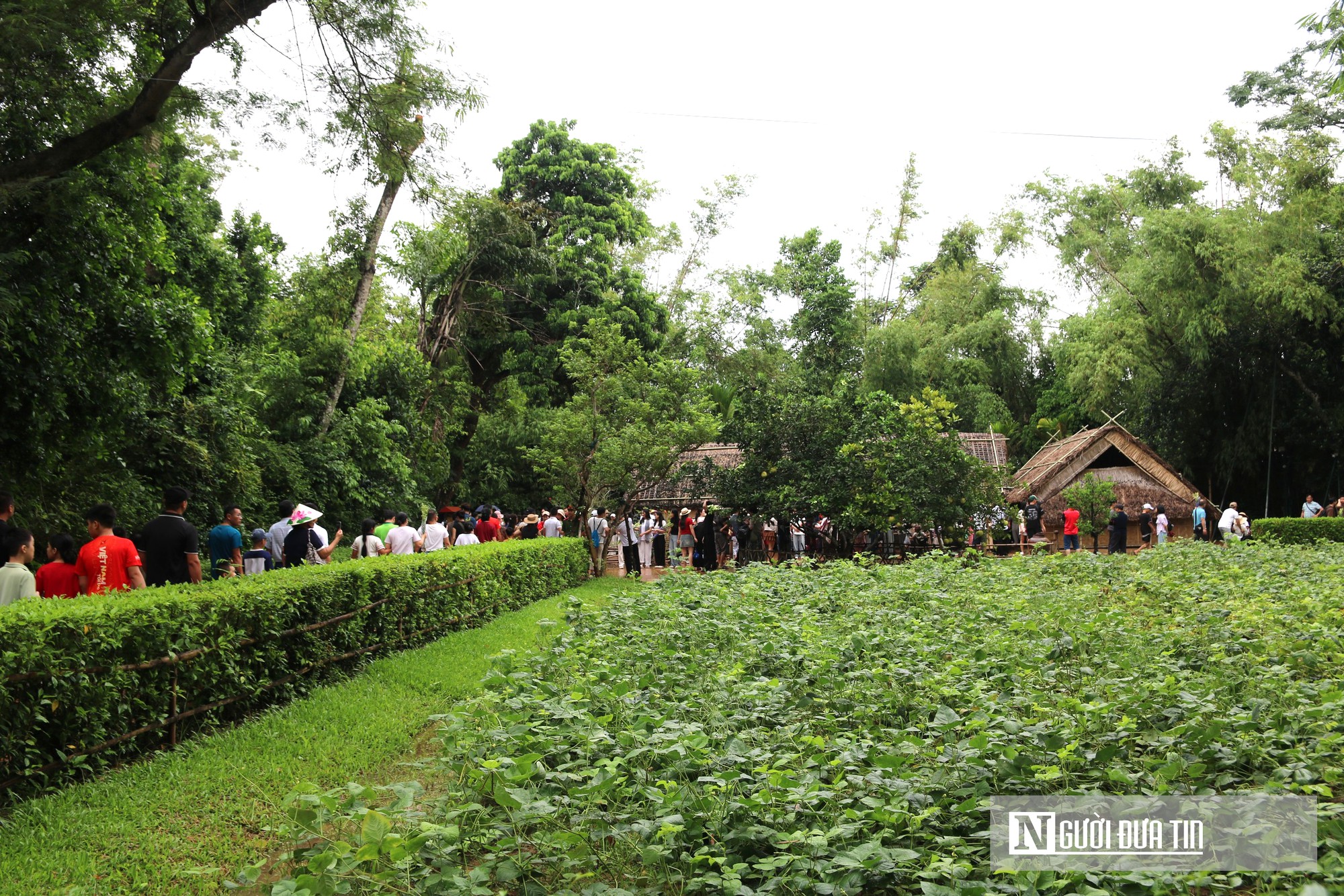 Xúc động dòng người đội mưa về thăm quê Bác dịp Quốc khánh 2/9- Ảnh 14.