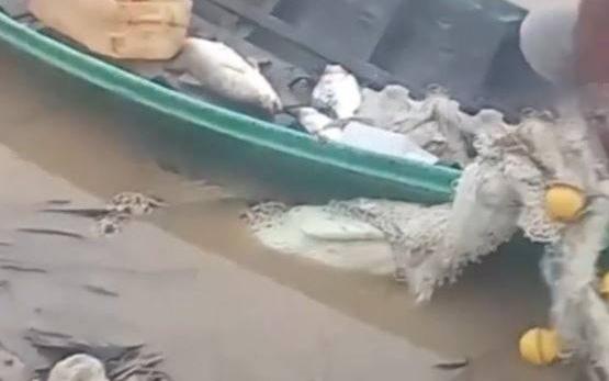 Đang dọn nhà, cặp đôi chết lặng trước cảnh tượng "nổi da gà" trước mắt - Ảnh 4.