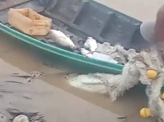 Đi thu lưới, ngư dân nhìn thấy cảnh tượng nổi da gà trên sông - Ảnh 1.