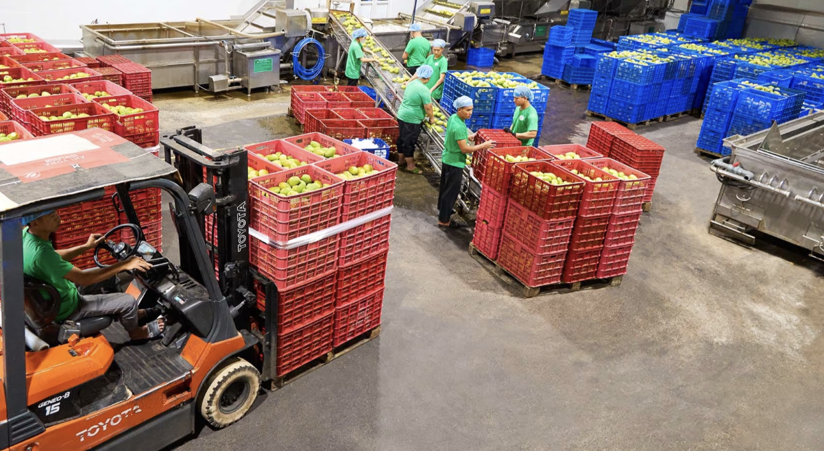 Lãi 64,4 tỷ đồng sau 6 tháng, Antesco vẫn gánh hơn 1.152 tỷ đồng nợ phải trả - Ảnh 1.