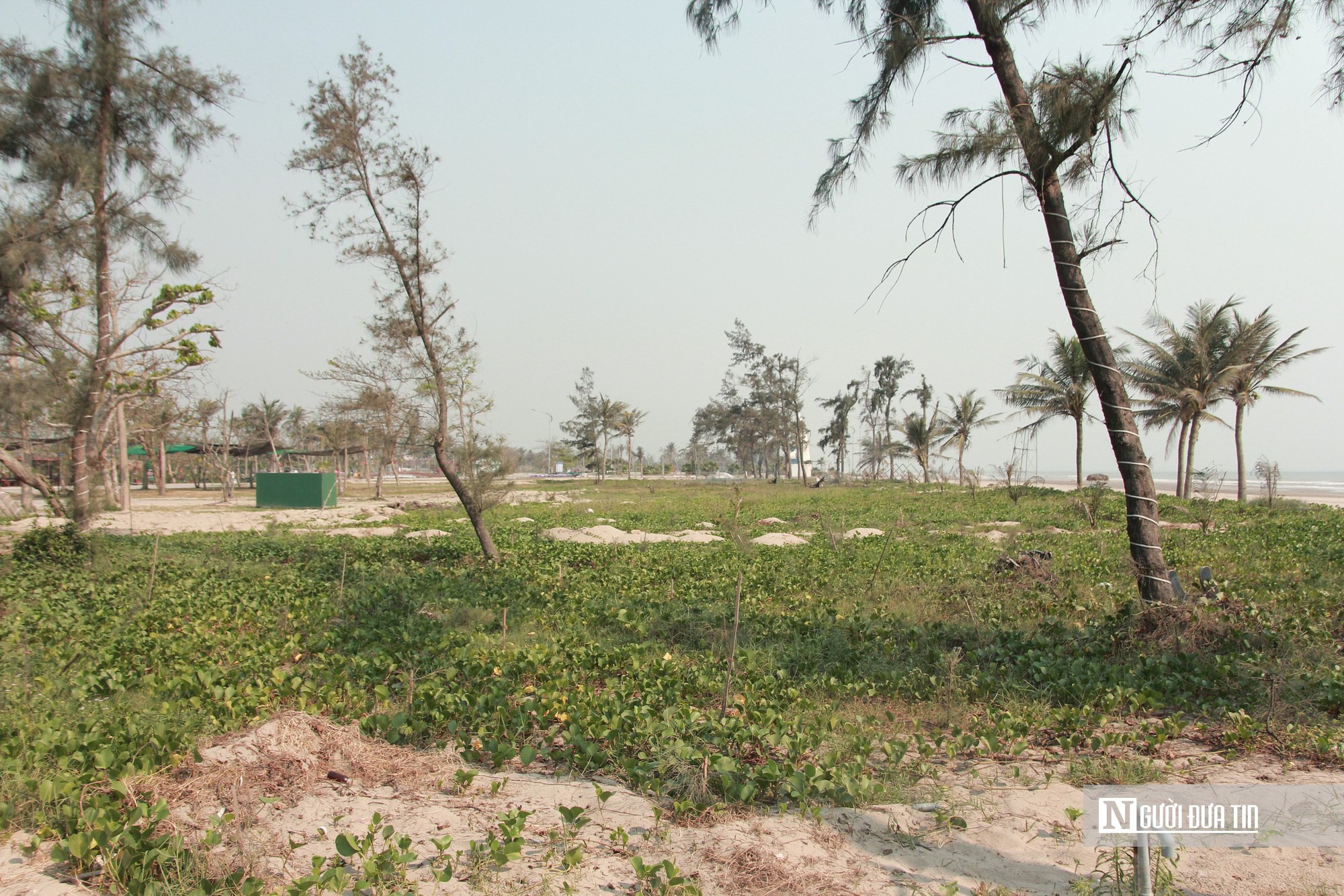 Nhiều dự án “treo” tại khu du lịch biển: Nơi bỏ hoang, nơi đầu tư thì bị vướng- Ảnh 3.