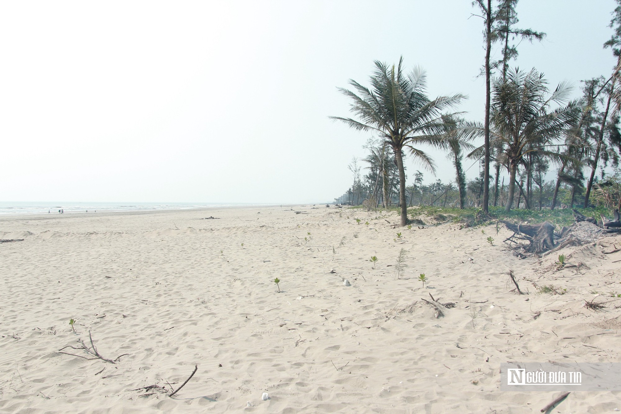Nhiều dự án “treo” tại khu du lịch biển: Nơi bỏ hoang, nơi đầu tư thì bị vướng- Ảnh 4.