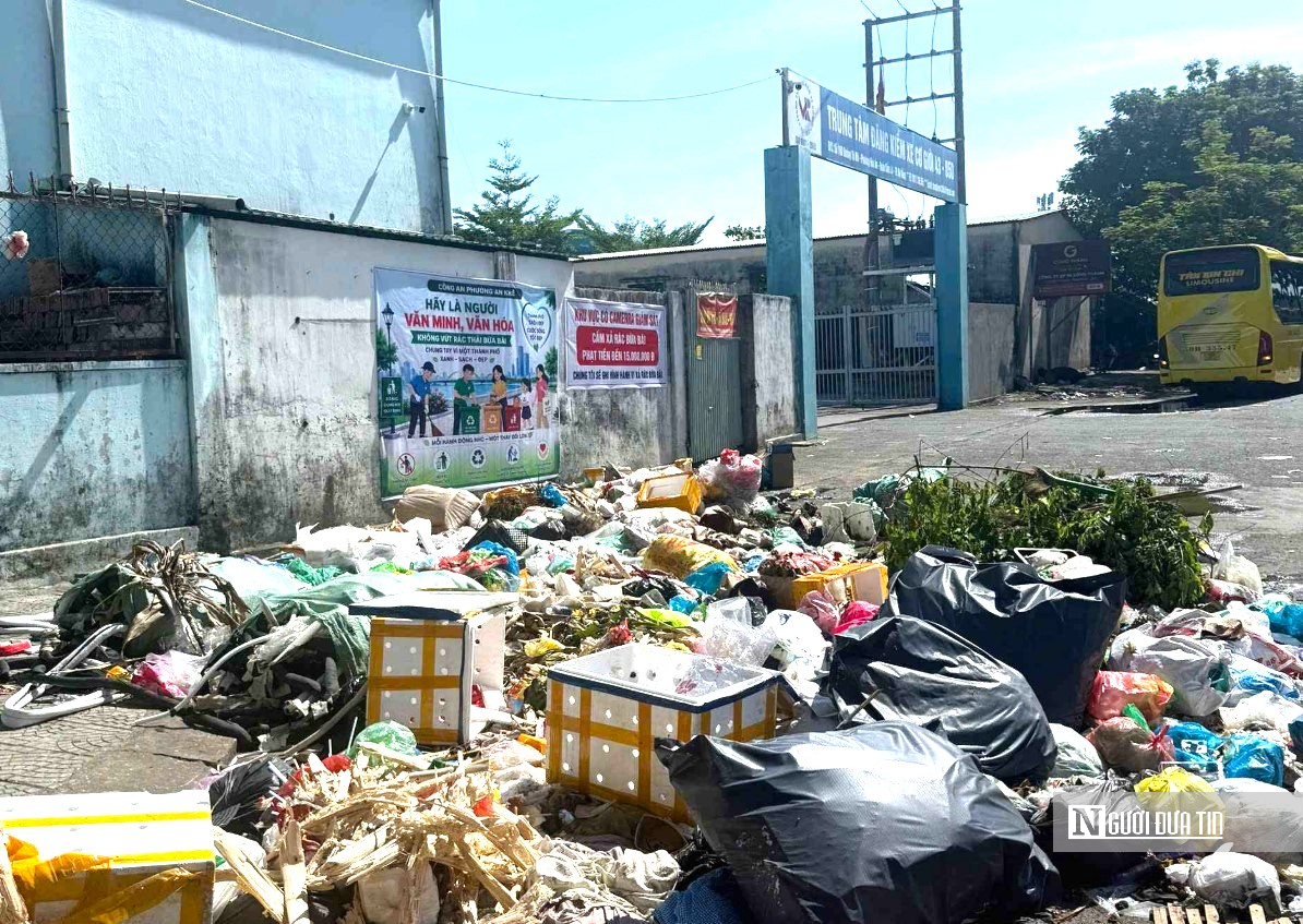 Đà Nẵng "rõ người, rõ việc" xây dựng thành phố môi trường- Ảnh 2.