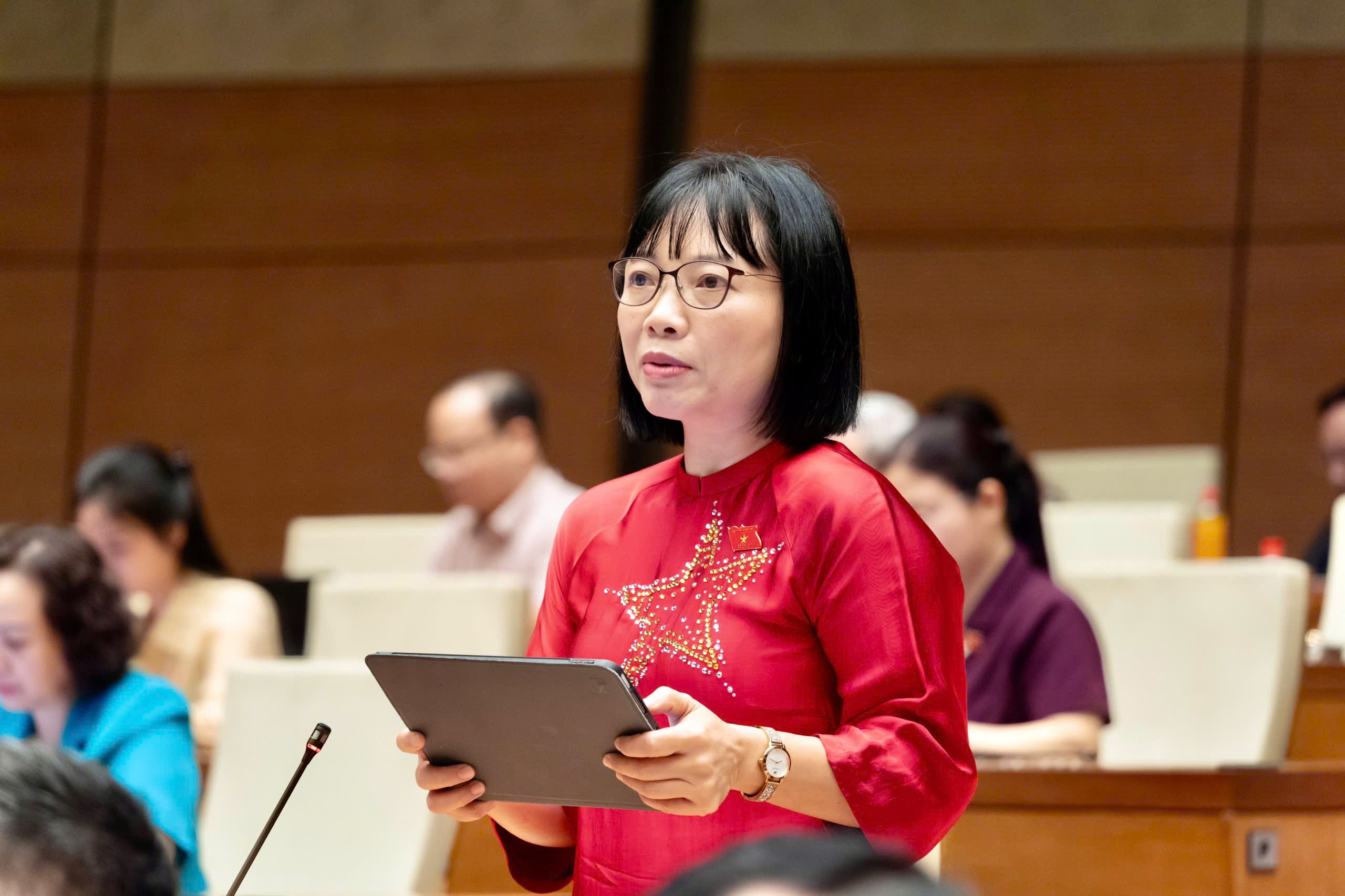 Đại tướng Phan Văn Giang giải trình làm rõ dự án Luật Phòng, chống phổ biến vũ khí hủy diệt hàng loạt - Ảnh 2.
