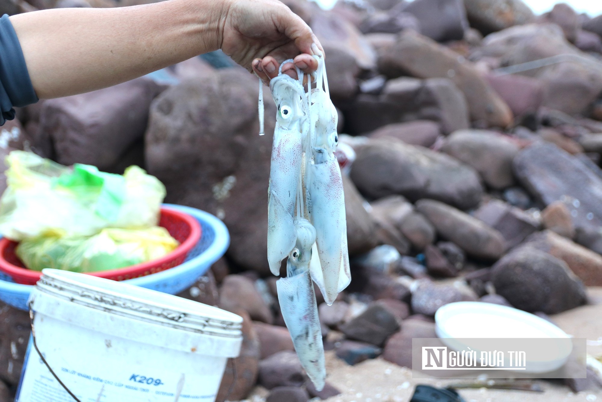 Bỏ túi tiền triệu mỗi đêm nhờ nghề mưu sinh độc đáo ở biển xứ Nghệ- Ảnh 11.