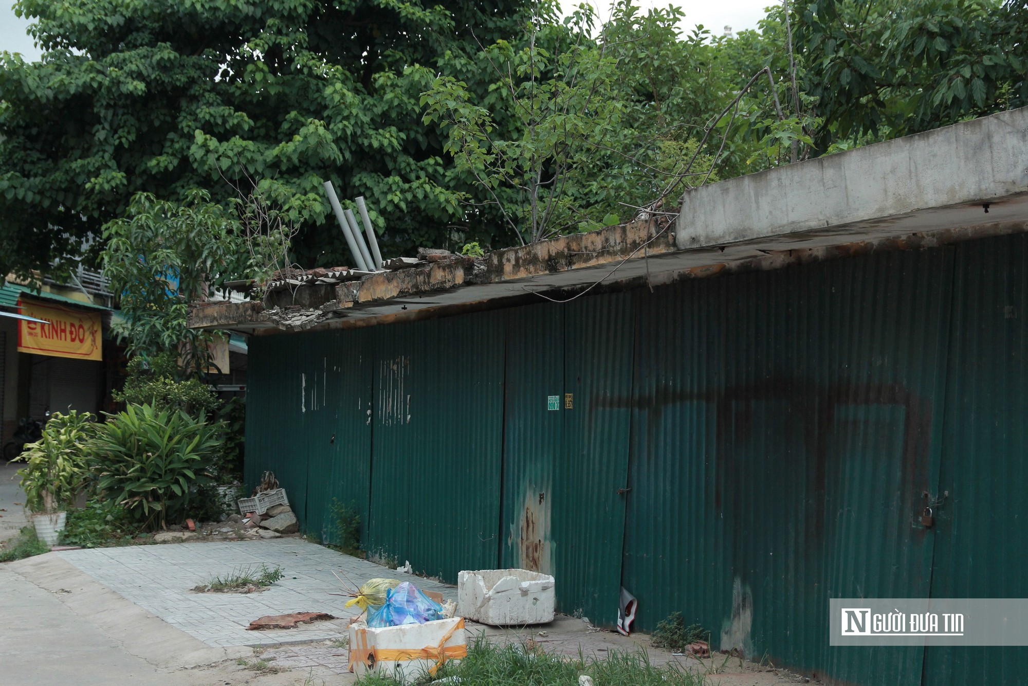 Cận cảnh khu chợ cũ hơn 10.000m2 bỏ hoang nhiều năm, cỏ mọc um tùm- Ảnh 3.