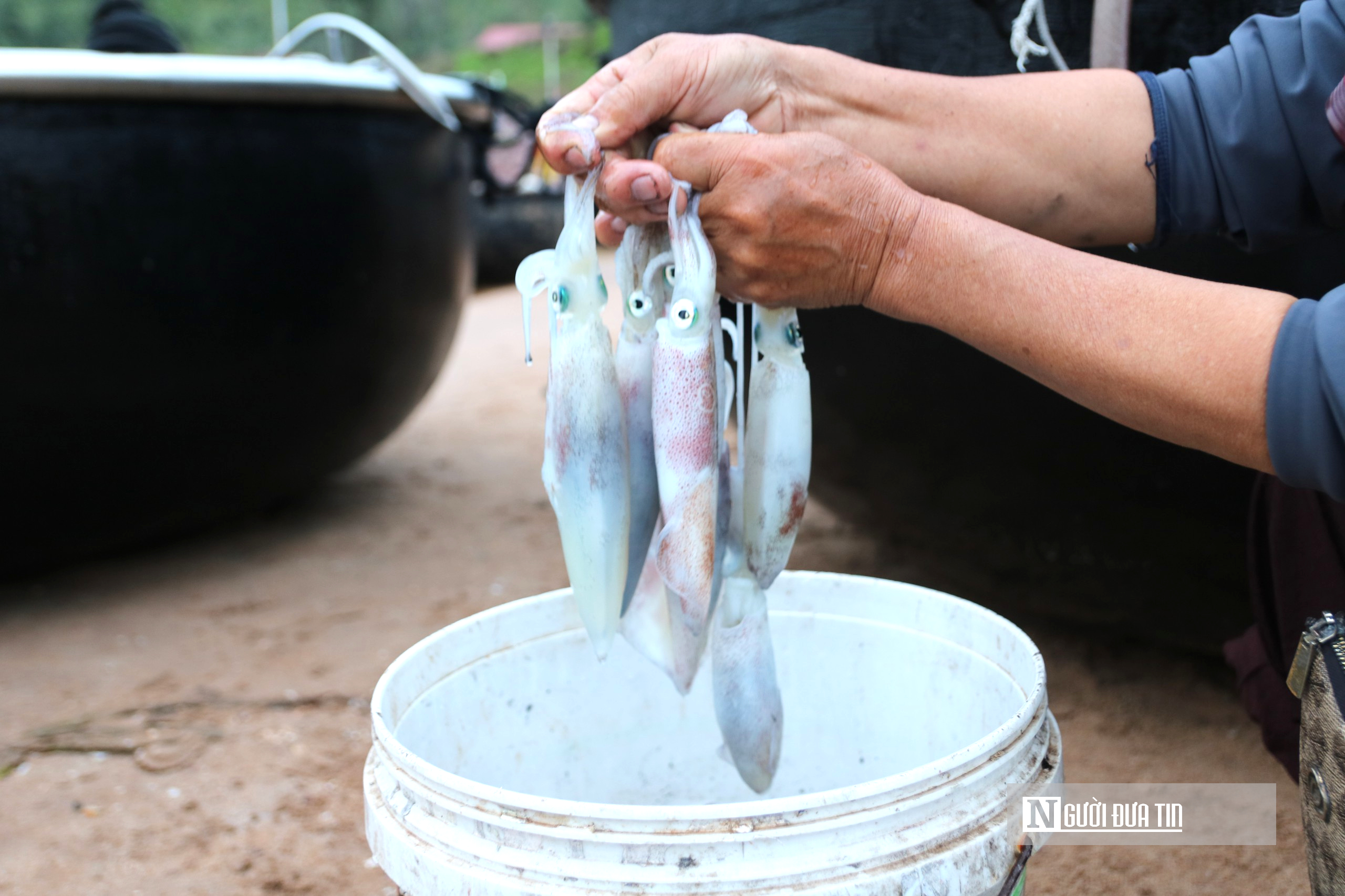 Bỏ túi tiền triệu mỗi đêm nhờ nghề mưu sinh độc đáo ở biển xứ Nghệ- Ảnh 9.