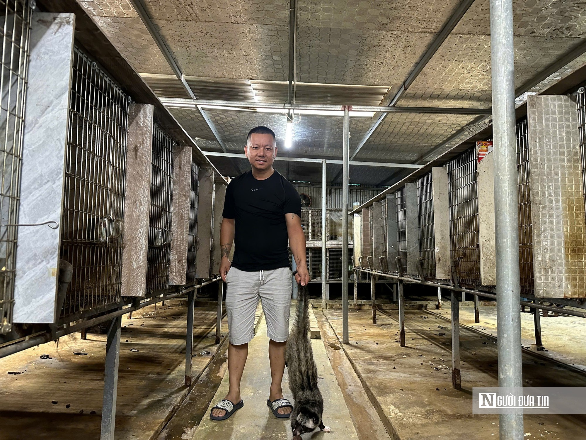Từ thất bại hàng trăm triệu đồng, người đàn ông gây dựng trại chồn hương tiền tỷ nằm top đầu Nghệ An - Ảnh 2.