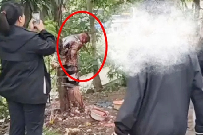Chú rể bị lột đồ rồi trói vào cây trong ngày cưới, lý do gây bất ngờ- Ảnh 1.
