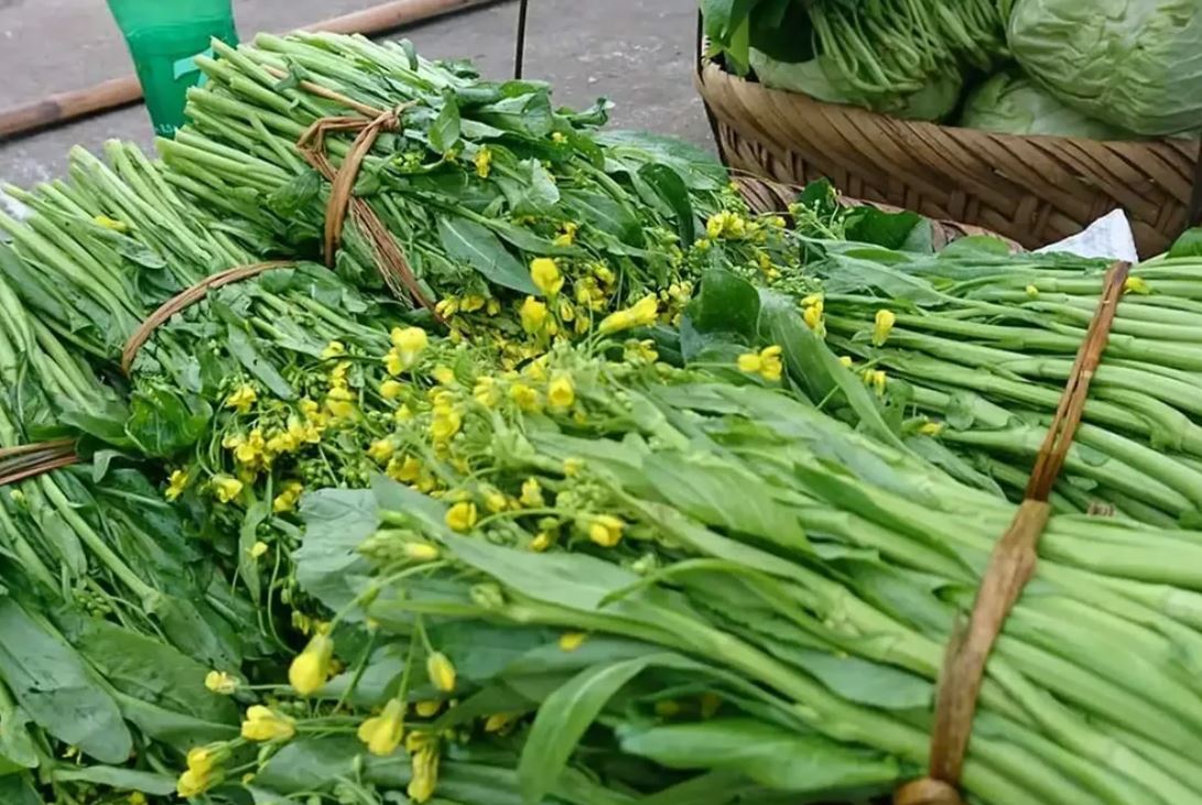 Mỹ đánh giá rau