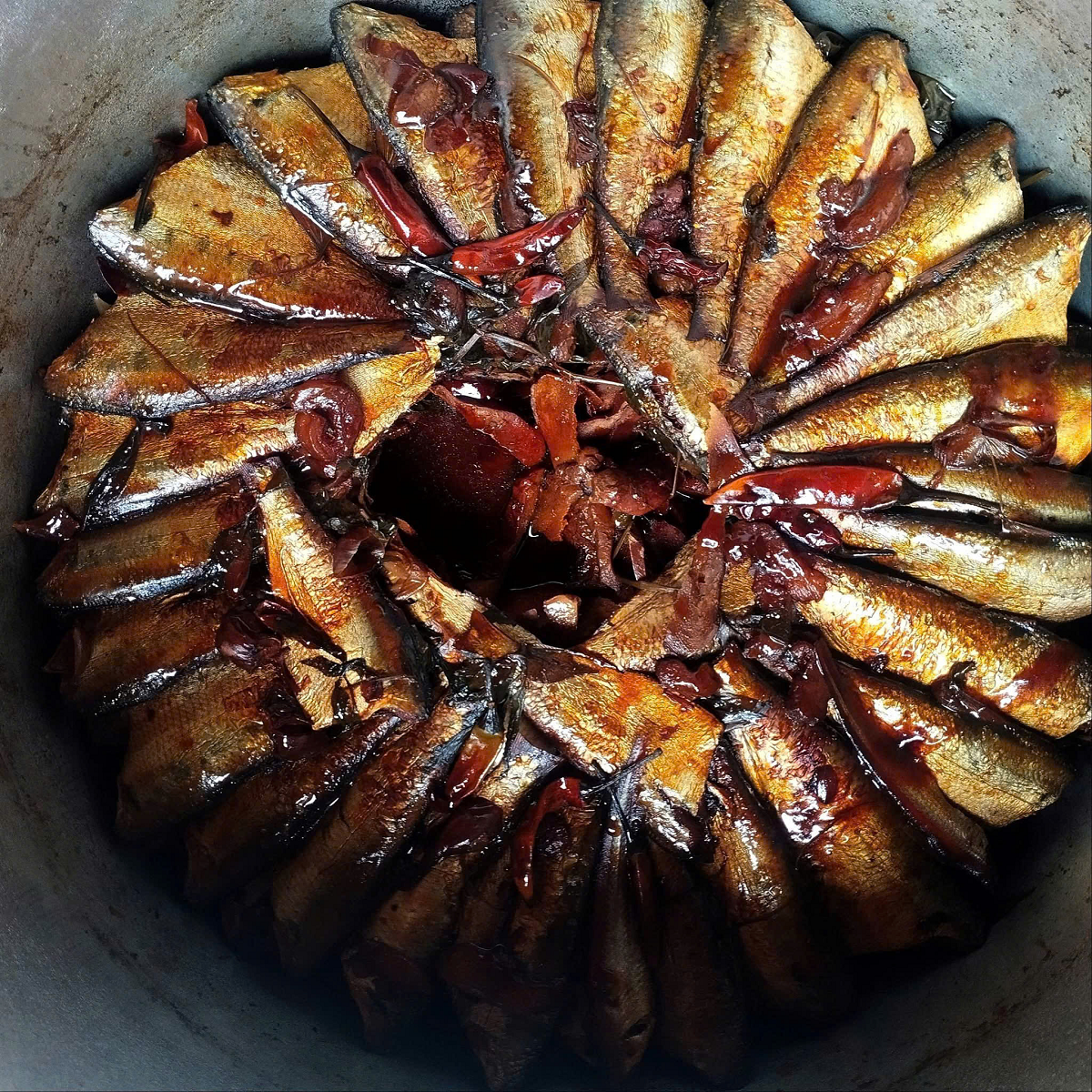 Mỹ gọi tên loài cá 
