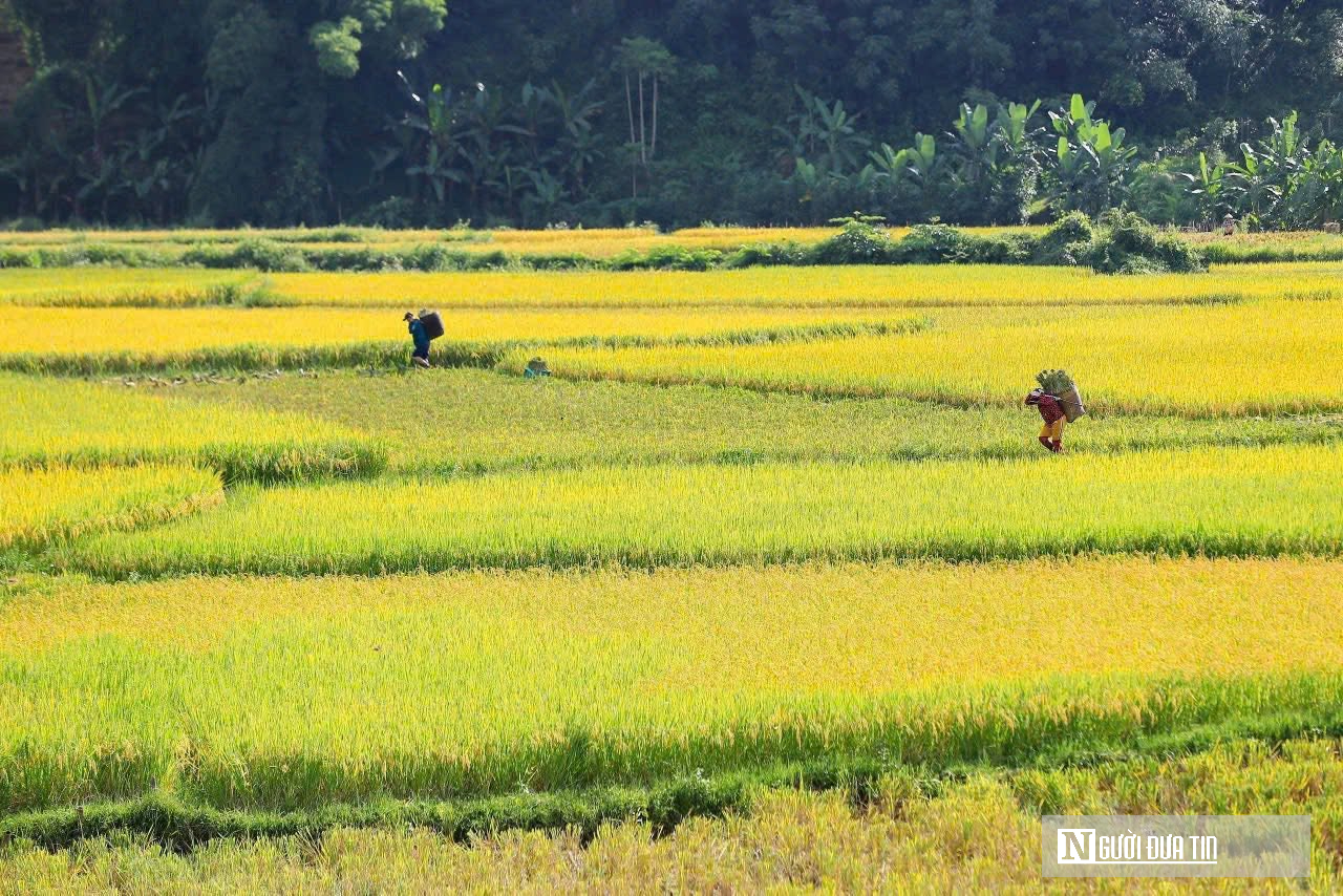 Những người tiên phong tạo sinh kế từ du lịch cộng đồng ở vùng cao Thanh Hóa- Ảnh 4.