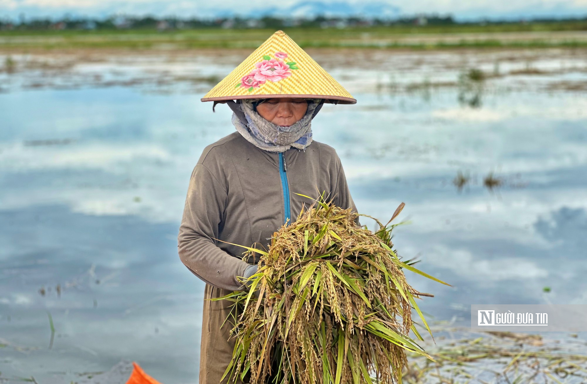 Đằm m&igrave;nh giữa đồng nước cứu l&uacute;a sau mưa lớn- Ảnh 4.