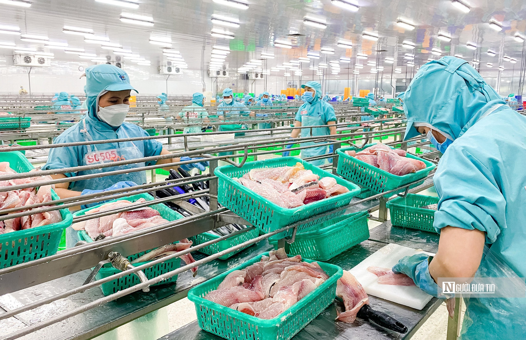Xuất khẩu cá tra sang Anh tăng 23%, nhu cầu thực phẩm tiện lợi mở thêm dư địa - Ảnh 1.
