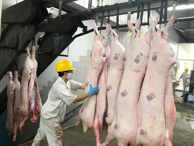 EU siết tên gọi sản phẩm thịt từ năm 2029, doanh nghiệp Việt cần làm gì?- Ảnh 2.