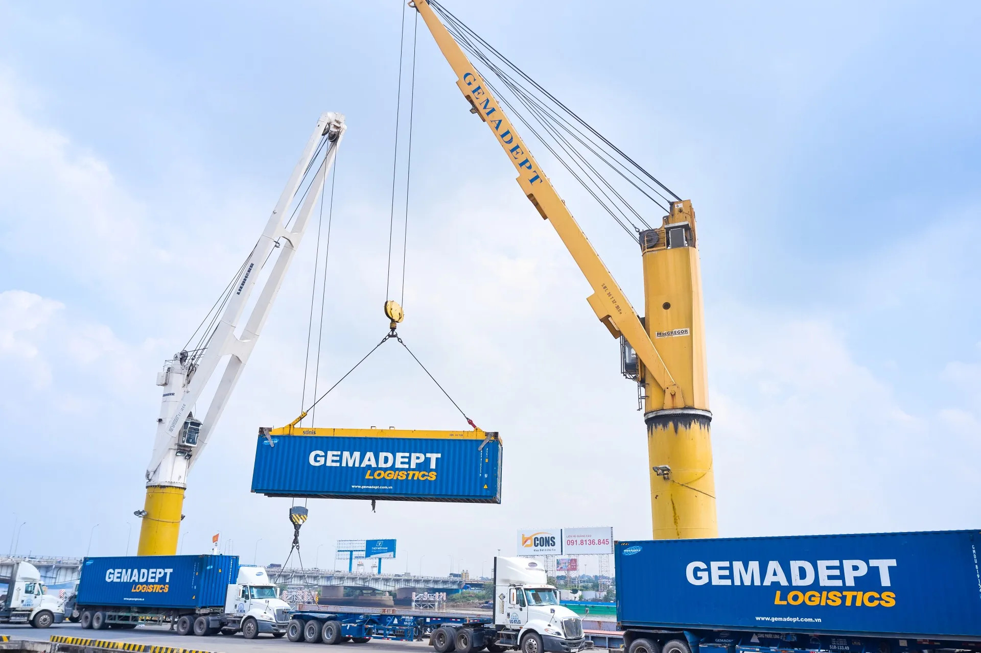 Gemadept dự kiến phát hành hơn 216 triệu cổ phiếu, vốn điều lệ dự kiến vượt 6.493 tỷ đồng - Ảnh 1.