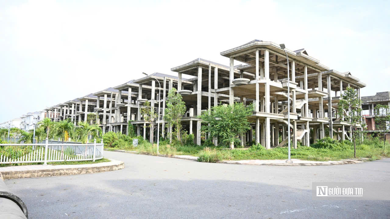 KDC Bửu Long: Nhà xây xong bỏ hoang, cỏ mọc um tùm- Ảnh 3.