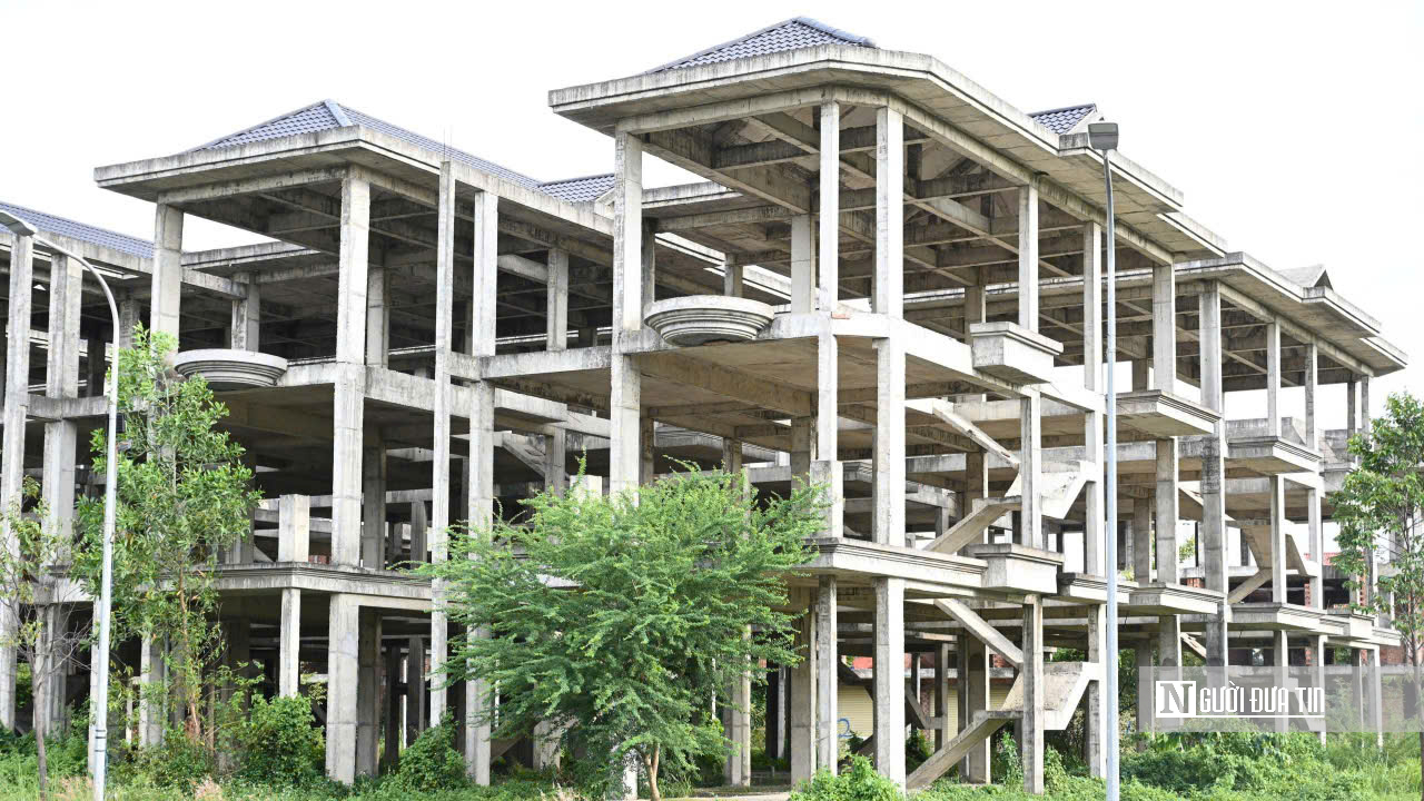 KDC Bửu Long: Nhà xây xong bỏ hoang, cỏ mọc um tùm- Ảnh 15.