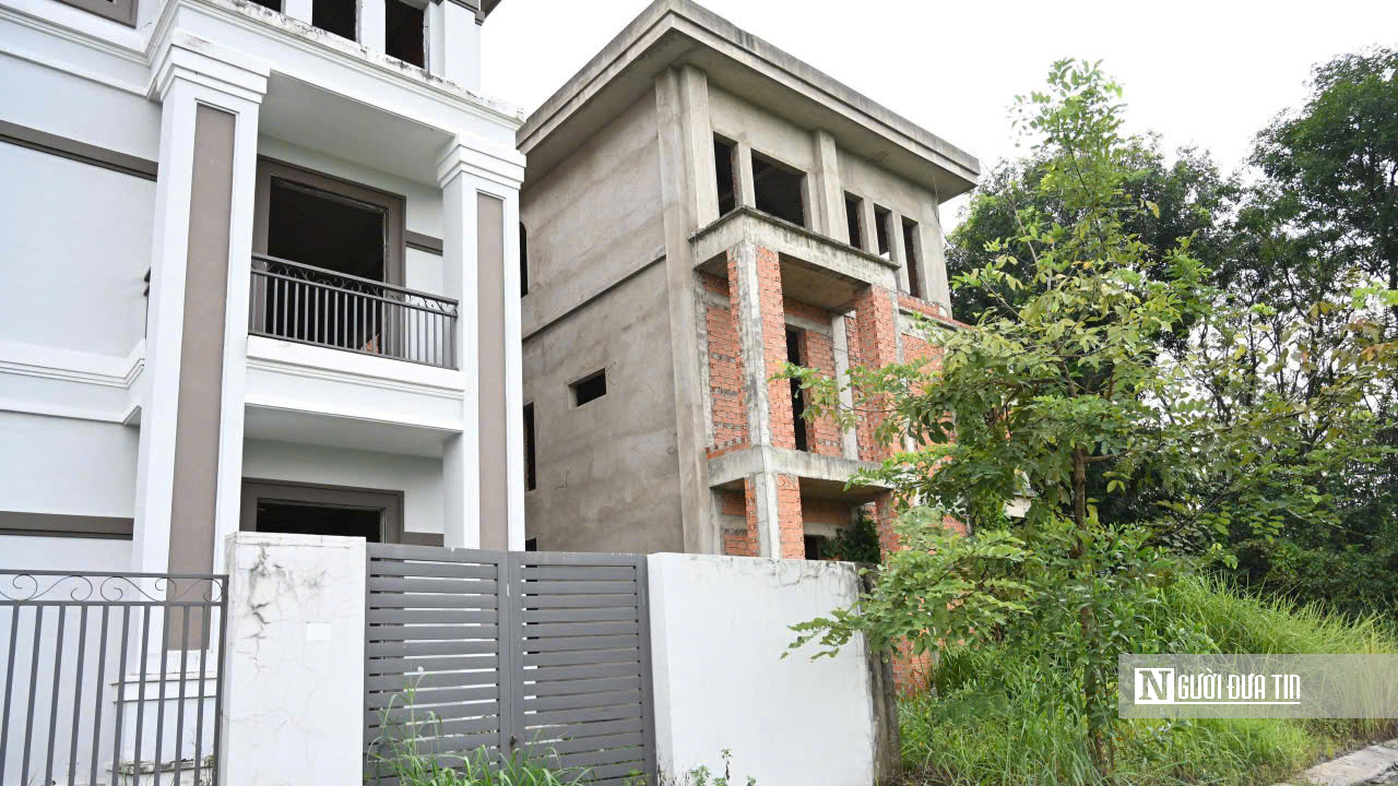 KDC Bửu Long: Nhà xây xong bỏ hoang, cỏ mọc um tùm- Ảnh 16.