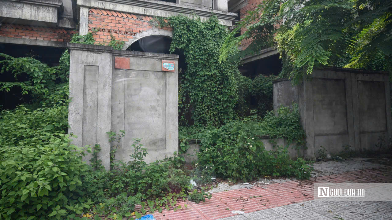 KDC Bửu Long: Nhà xây xong bỏ hoang, cỏ mọc um tùm- Ảnh 19.