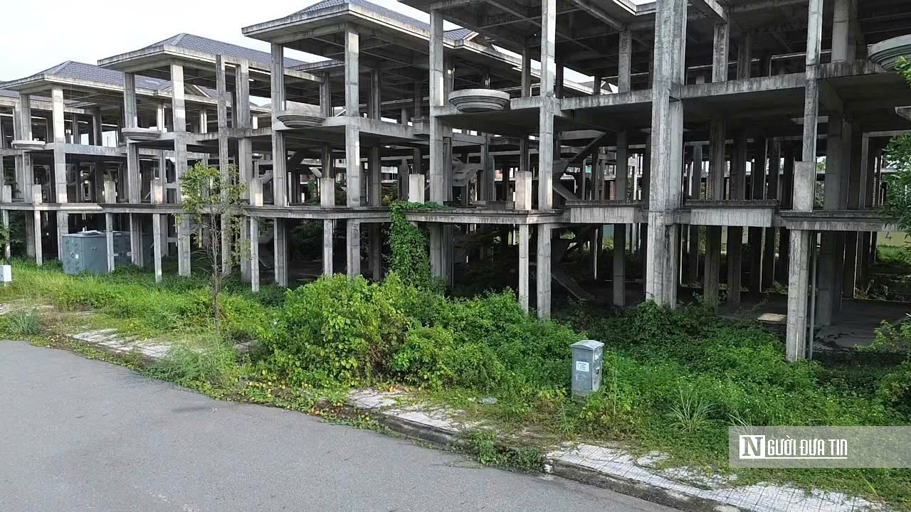 KDC Bửu Long: Nhà xây xong bỏ hoang, cỏ mọc um tùm- Ảnh 22.