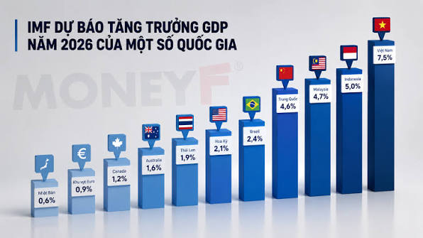 Việt Nam ngược dòng, GDP sắp vượt Philippines, Thái Lan và Hong Kong- Ảnh 1.