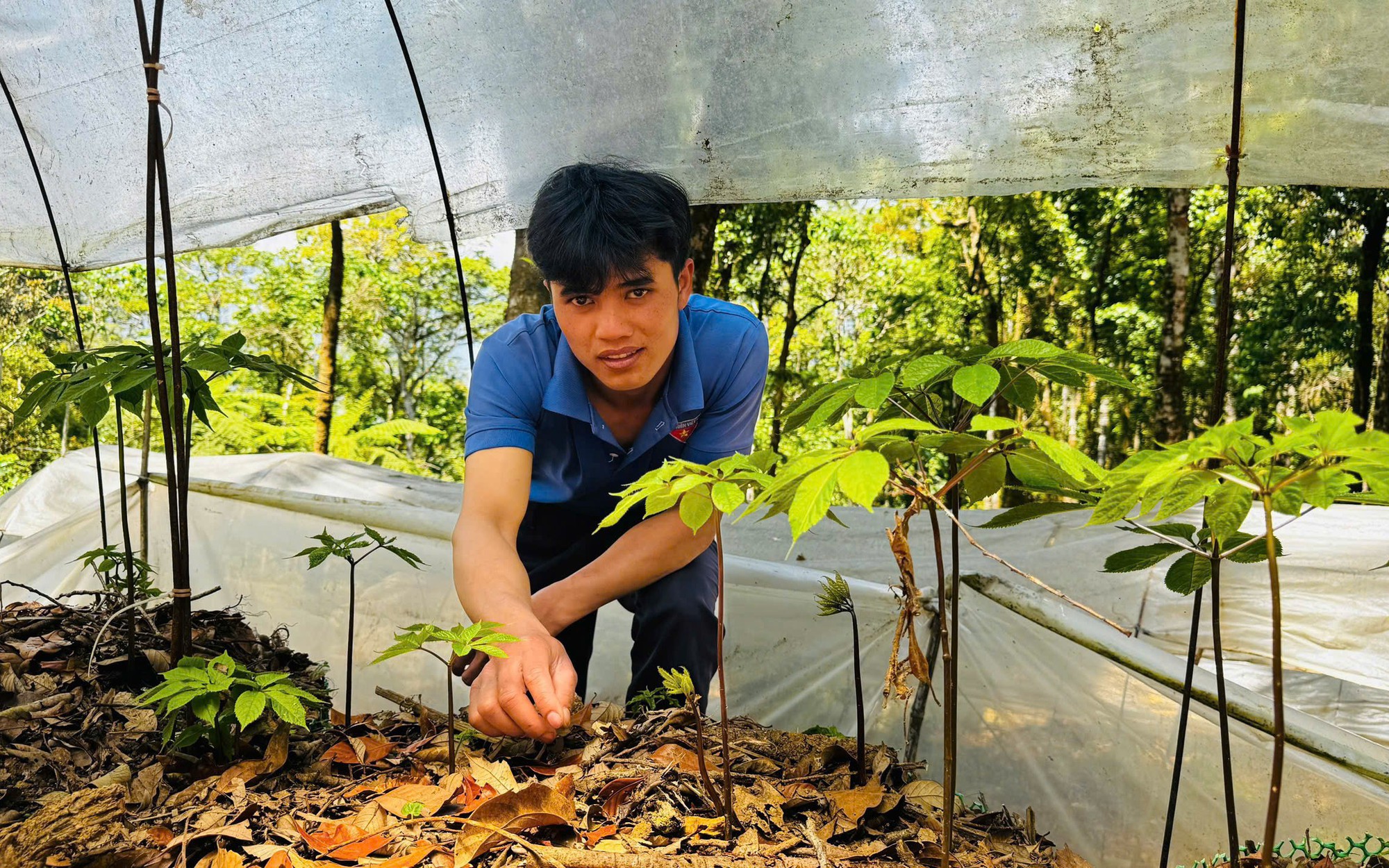 Học sinh ở Cần Thơ bất ngờ nhận 464 triệu đồng, gia đình vội khóa tài khoản - Ảnh 2.