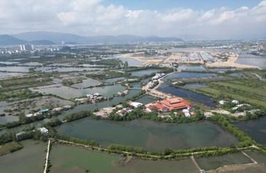 Gia Lai: Kể câu chuyện đầm Thị Nại bằng ngôn ngữ của hình ảnh- Ảnh 3.