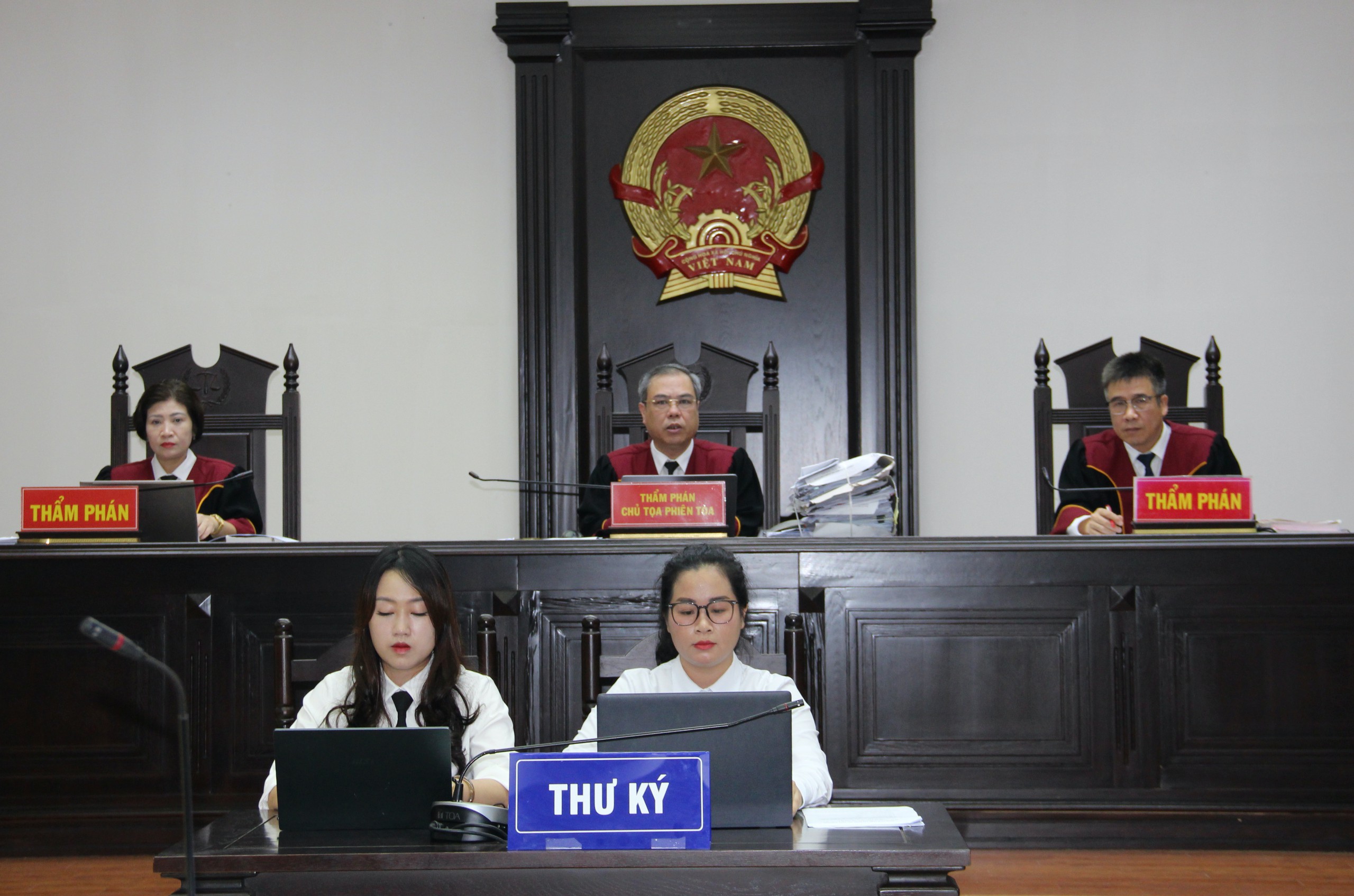 Xét xử vắng mặt cựu Bộ trưởng Nguyễn Thị Kim Tiến - Ảnh 1.