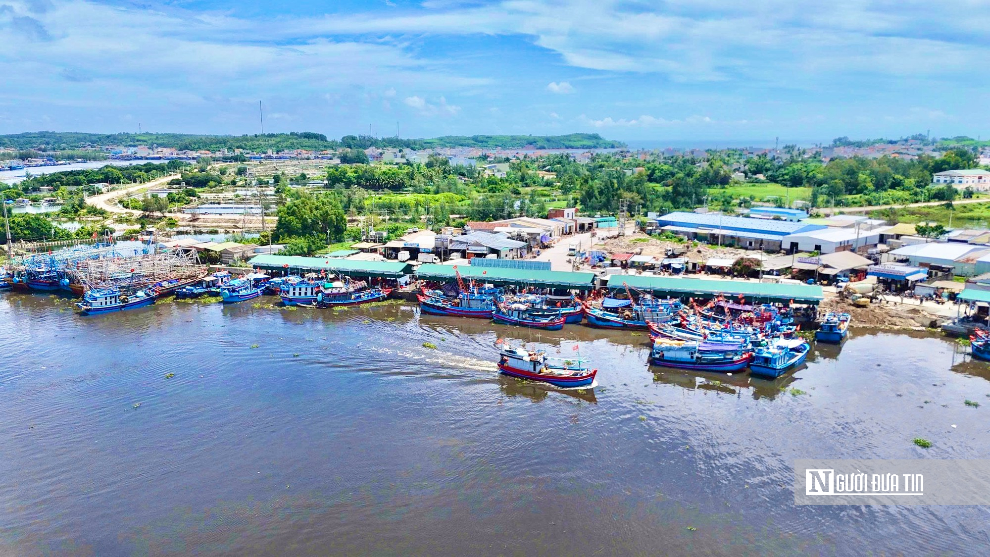 V&agrave;o m&ugrave;a c&aacute; cơm, ngư d&acirc;n Quảng Ng&atilde;i hồ hởi thu tiền triệu mỗi đ&ecirc;m- Ảnh 5.