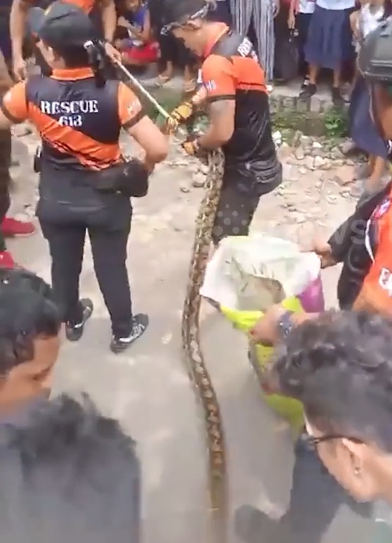 Nhìn lên trần nhà, học sinh la hét khi thấy cảnh tượng đáng sợ - Ảnh 1.
