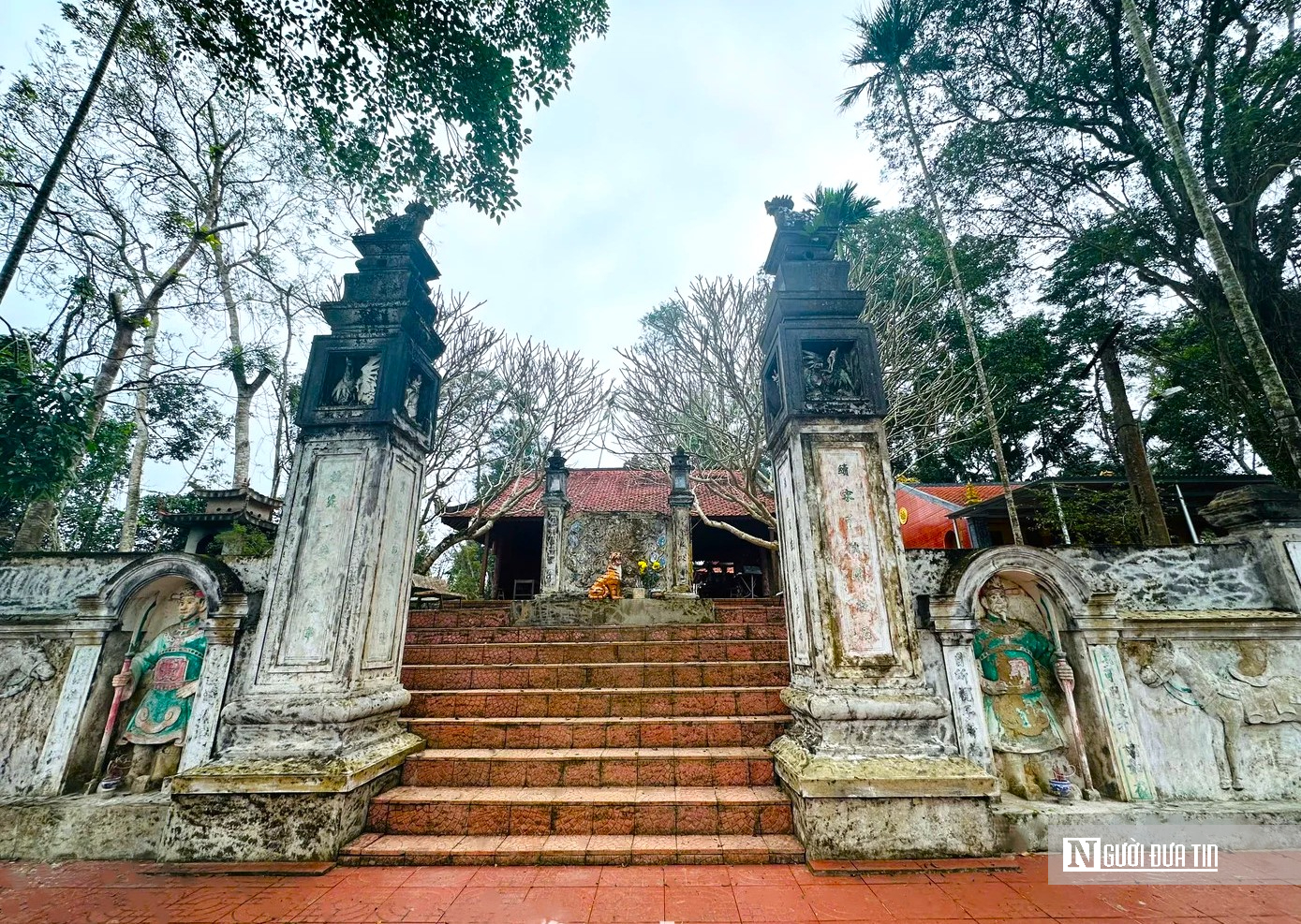 Ph&aacute;t huy di sản &ldquo;c&acirc;y trầm tổ&rdquo; hơn 500 năm tuổi được bảo vệ như b&aacute;u vật ở H&agrave; Tĩnh- Ảnh 1.