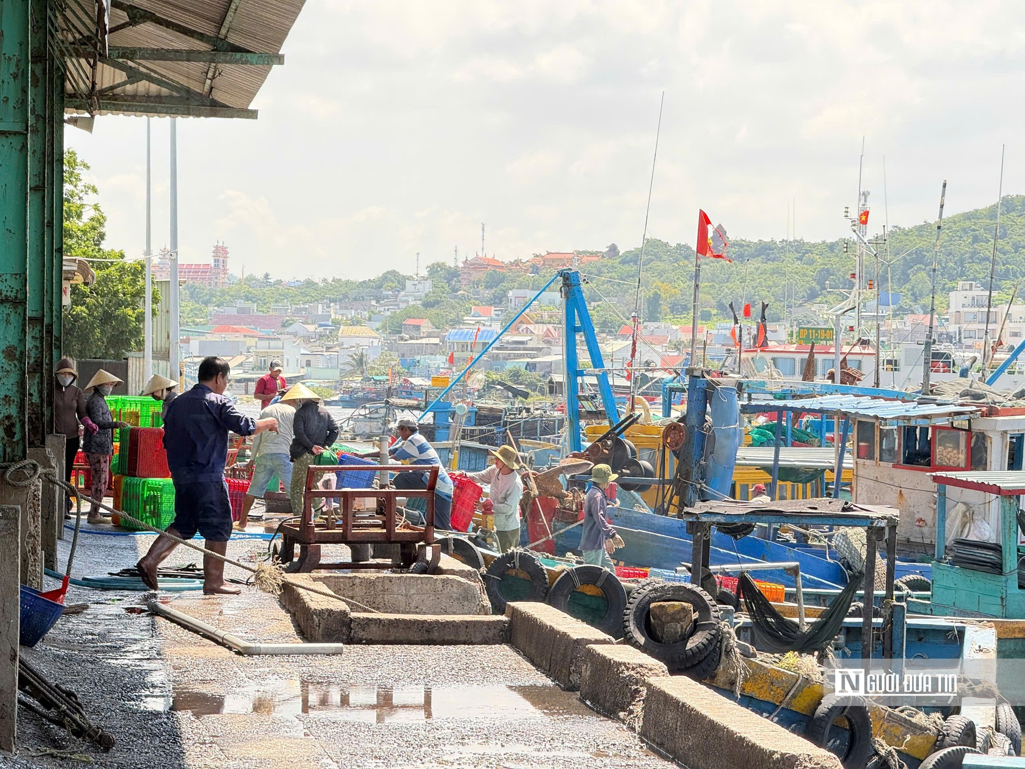 Ngư dân trúng cá nục, Cảng cá Phú Hải ở Lâm Đồng rộn ràng mùa biển - Ảnh 4.