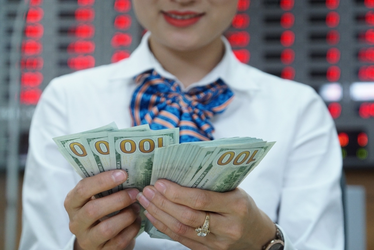 Báo quốc tế lý giải sức hút của các dự án Vinhomes với dòng vốn kiều bào- Ảnh 1.