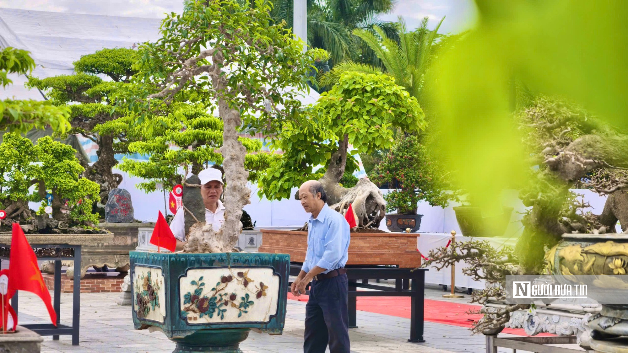 Trriển lãm cây cảnh ở Quảng Ngãi hút khách, một gốc "Thạch nham cổ mộc" được định giá 6,5 tỷ đồng- Ảnh 4.