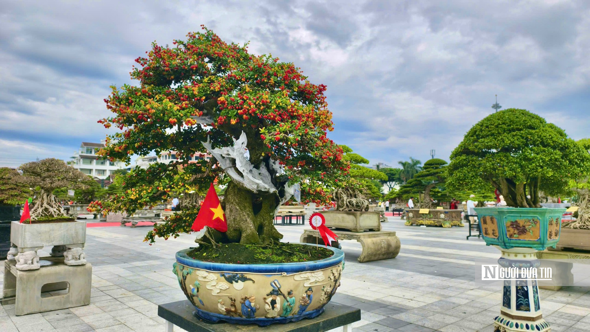 Trriển lãm cây cảnh ở Quảng Ngãi hút khách, một gốc "Thạch nham cổ mộc" được định giá 6,5 tỷ đồng- Ảnh 7.
