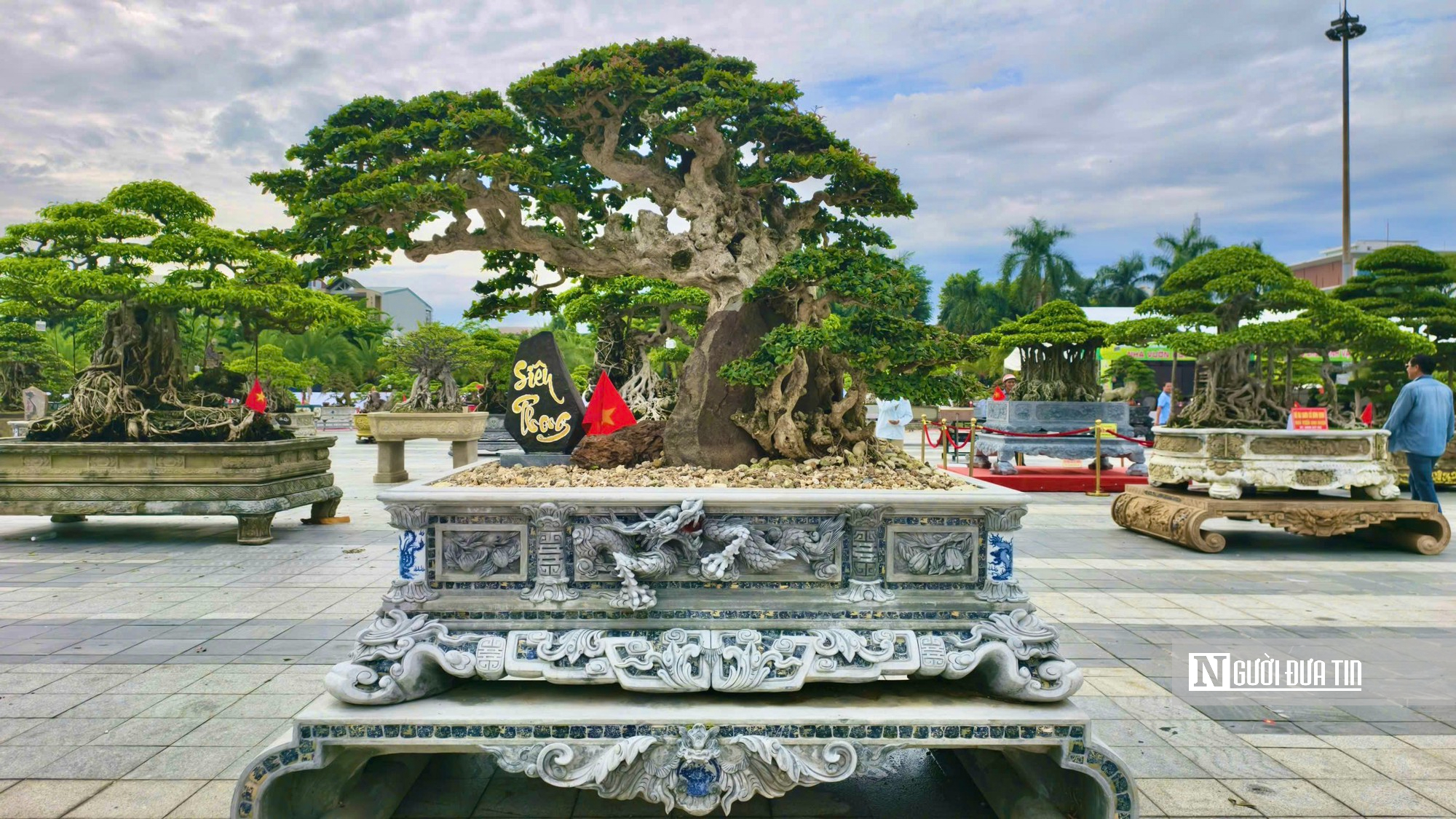 Trriển lãm cây cảnh ở Quảng Ngãi hút khách, một gốc "Thạch nham cổ mộc" được định giá 6,5 tỷ đồng- Ảnh 8.