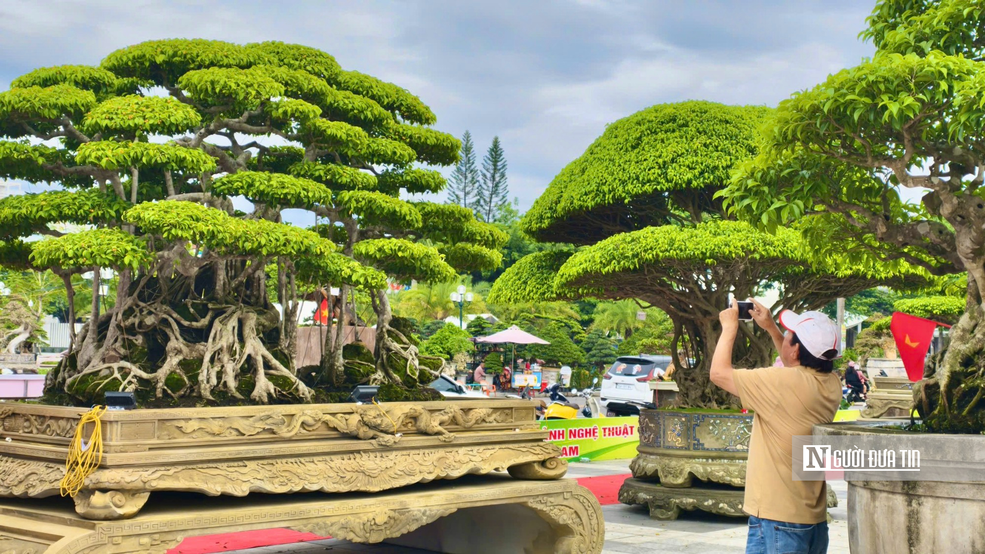 Trriển lãm cây cảnh ở Quảng Ngãi hút khách, một gốc "Thạch nham cổ mộc" được định giá 6,5 tỷ đồng- Ảnh 3.